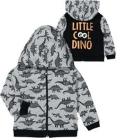 Dino - kleine coole dino - vest jongens - maat - 74/80 cm
