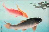 Walljar - Ohara Koson - Common And Golden Carp - Muurdecoratie - Plexiglas schilderij