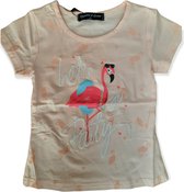 T-Shirt - Flamingo - Zalmroze - 146/152