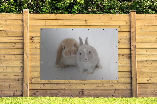Affiche jardin - Deux lapins - 180x120 cm - XXL