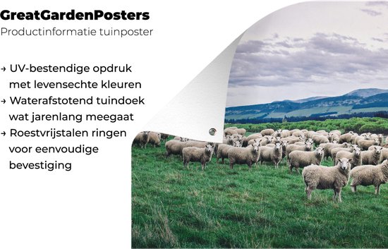 Tuinposter 120x80 cm - Tuindecoratie Schapen - Natuur - Gras - Poster voor in de tuin - Buiten decoratie - Schutting tuinschilderij - Tuindoek muurdecoratie - Wanddecoratie balkondoek