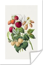 Poster Frambozen - Fruit - Eten - 80x120 cm