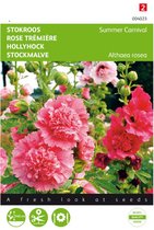 Althaea, Stokroos Summer Carnival | Geschikt voor snijbloem en borderplant en ze zijn eetbaar