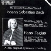 Hans Fagius - The Complete Organ Music Vol 9 (CD)