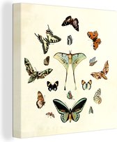 Canvas - Vlinders - Vintage - Dieren - Insecten - Muurdecoratie - Canvas schilderij - 20x20 cm