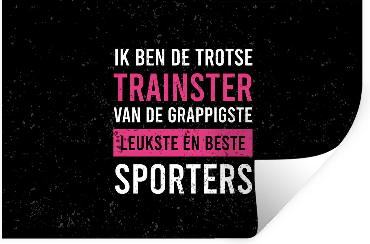 Muurstickers - Sticker Folie - Quote - Trainster - Trots - 30x20 cm - Plakfolie - Muurstic