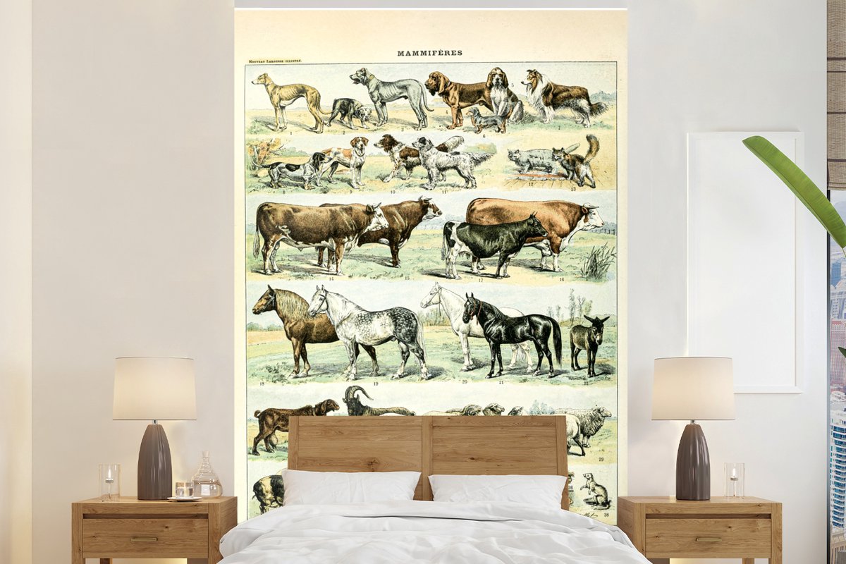 Behang - Fotobehang Dieren - Paarden - Illustratie - Vintage - Adolphe Millot - Breedte 155 cm x hoogte 240 cm