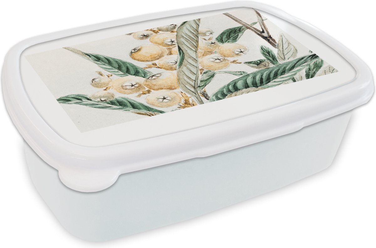Broodtrommel Wit - Lunchbox - Brooddoos - Bes - Japans - Bladeren - Vintage - 18x12x6 cm - Volwassenen