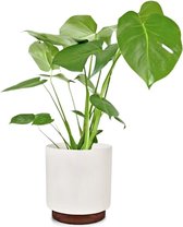 Blumfeldt Enspijk Bloempot Ø25cm - Handgemaakt - Modern design - Plantenpot voor binnen en buiten - Polystone