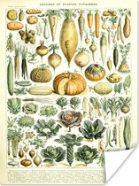 Affiche Vintage - Légumes - Carotte - Art - Adolphe Millot - Oranje - 60x80 cm