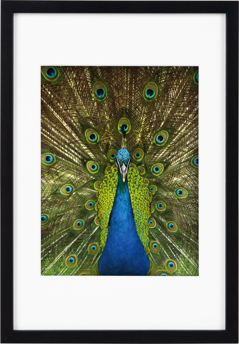 Goldbuch Fotolijst Pino - Zwart - 15x20 cm (20x30 cm)