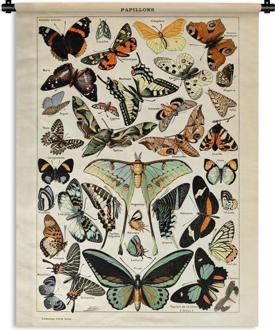Wandkleed - Wanddoek - Adolphe Millot - Vlinder - Dieren - Insecten - Vintage - 90x120 cm - Wandtapijt