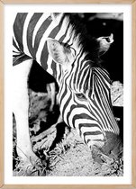 Poster Met Eiken Lijst - Mlilwane Zebra Poster