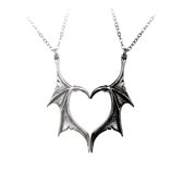 Alchemy Ketting Darkling Heart - Friendship Pendant Zilverkleurig/Zwart