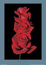 poster PGM Mina Selis -  Red Roses I