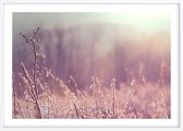 Poster Met Witte Lijst - Zonnige Herfst Poster