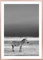 Poster Met Metaal Rose Lijst - Wilde Zebra Poster