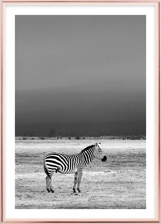 Poster Met Lijst - Wilde Zebra Poster (21x30cm)