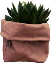 de Zaktus - cactus - Euphorbia Ingens Variegata - UASHMAMA® paperbag olijf - Maat XL