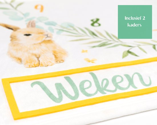 Flouer Mijlpaaldeken Dieren - Milestone deken - Kraamcadeau meisje of jongen - Mijlpaaldeken baby - Babyshower cadeau - Kraamcadeautjes - Mijlpaal deken - Milestone blanket - Babyshower van FLO — afbeelding 5