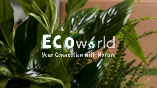 Plantes d'intérieur en pot - Ecoworld Set de plantes d'intérieur Anthracite  - 4 pièces 