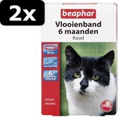 2x - BEAPHAR VLOOIENBAND KAT ROOD