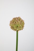 Kunstbloem Allium - topkwaliteit decoratie - Paars - zijden tak - 76 cm hoog