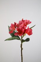 Kunstbloem Plumeria - topkwaliteit decoratie - Roze - zijden tak - 70 cm hoog