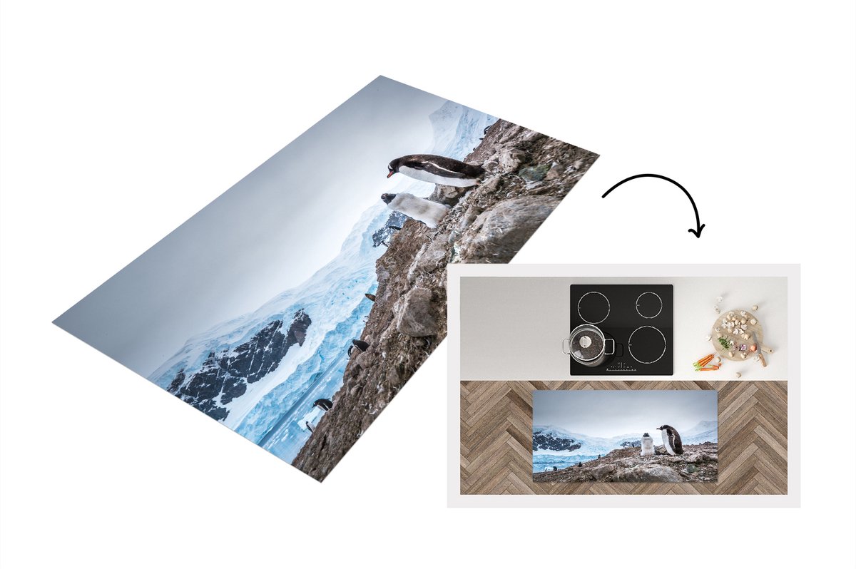 KitchenYeah Keukenloper - Loper keuken - Pinguïns staan op een rots op Antarctica - 120x60 cm - Keukenloper vinyl Multicolor