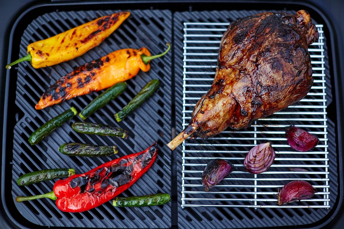 Everdure Force - Barbecue au gaz - Orange