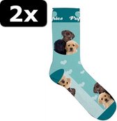 2x - SOKKEN PUPPIES 37-42