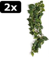 2x SUMATRA HANGING VINE 40CM