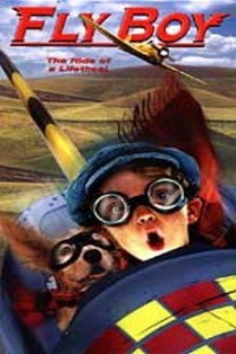 One Last Flight - DVD - 8711926000495