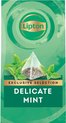 Thee lipton exclusive subtiele munt 25x2gr | Pak a 25 stuk