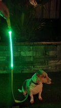 N4dogs - hondenriem met ledverlichting - groen - reflecterende hondenriem - hond verlichting - veilige hondenriem