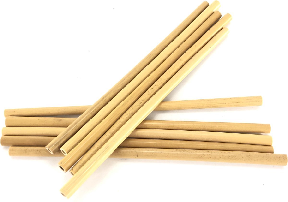 Rietjes bamboe 20cm 10 stuks in doosje met borstel
