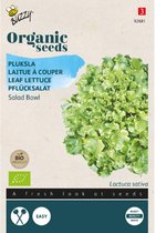Buzzy  Seeds Bio Salad Bowl (Skal 14218 NL-BIO-01)