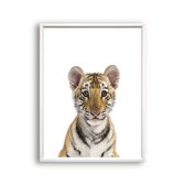 Poster Jungle / safari baby tijger / Jungle / Safari / 80x60cm