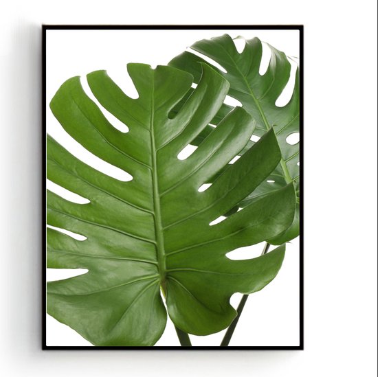 Schilderij  2 Botanische tropische groene bladeren / Planten / Bladeren / 40x30cm