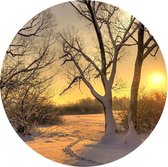 Behangcirkel Winterse Zonsondergang | ⌀ 30 cm | Zelfklevend | Wanddecoratie | Ronde Muursticker | Muurcirkel Binnen