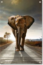 Tuinposter Olifant Op De Weg | 40 x 60 cm | Wanddecoratie Buiten | Tuin Schilderij