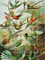 IXXI Hummingbirds - Wanddecoratie - 160 x 120 cm