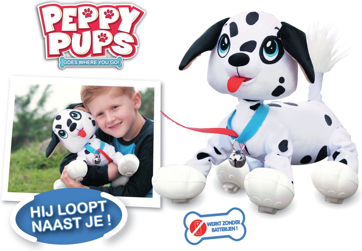 Les toufous best sale chien dalmatien