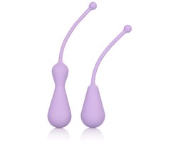 CalExotics - Weighted Kegel Exercisers Set - Balls Paars