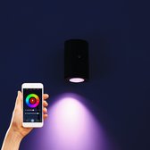 Proventa Slimme Wandlamp buiten met sensor - Multicolor - Wandspot - Bedienbaar met App