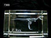 Geharo glasblokje t-Rex skelet