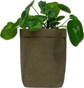 QUVIO Plantenzak - Bloempot voor binnen - Plantenbak - Tuinieren - Bloemen - Plantenpot - Planten houder - Milieuvriendelijk - Kraftpapier - 10 x 10 x 20 cm (lxbxh) - Donkergroen