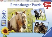 Puzzel 3x49 stukjes Schattige Pony AND apos;s