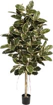 Ficus Elastica variegata - kunstplant