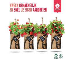 4x Hangtuintjes moestuin kweekset Aardbeien Nu Met Gratis FSC Houten Hangrekje!/ duurzaam/ gerecycled/cadeau 4x Hangtuintjes moestuin kweekset Aardbeien Nu Met Gratis FSC Houten Hangrekje!/ duurzaam/ gerecycled/cadeau